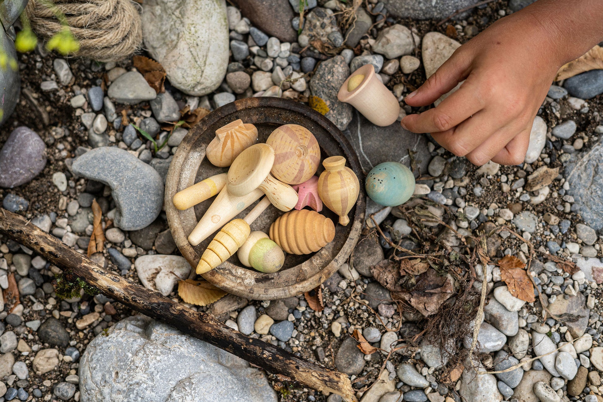 Wonders in wooden bowl