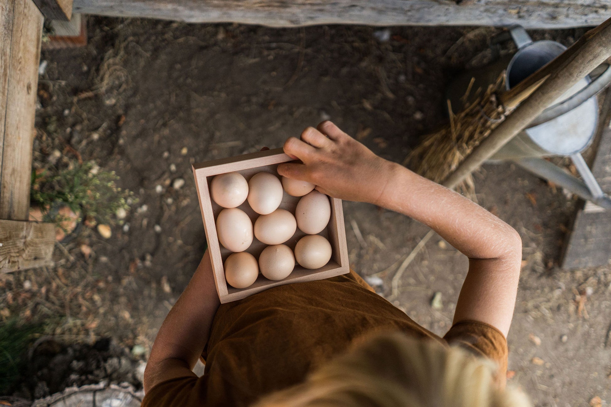 Child holding small storage box filled with eggs