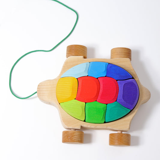 Rainbow Turtle Pull Along Top