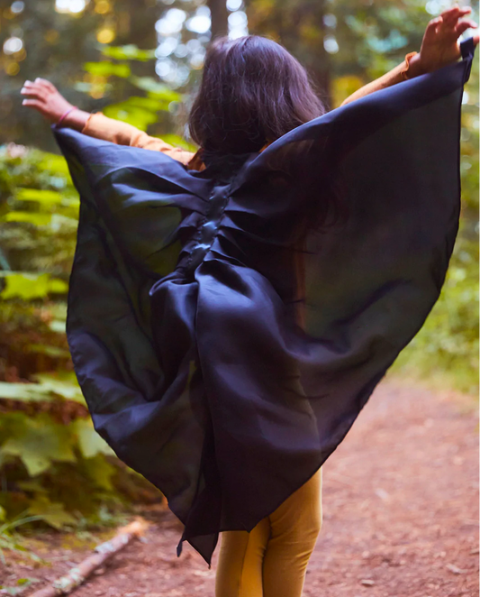 Silk Dress-Up Wings