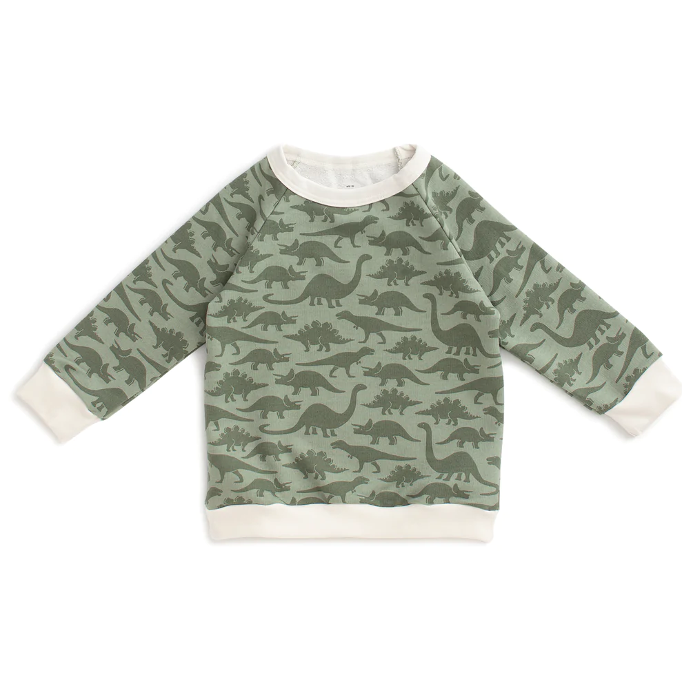 Dinosaur Sage Pullover for kids