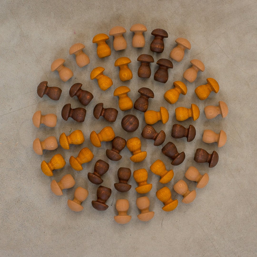 Mushroom mandala laid out in flower pattern