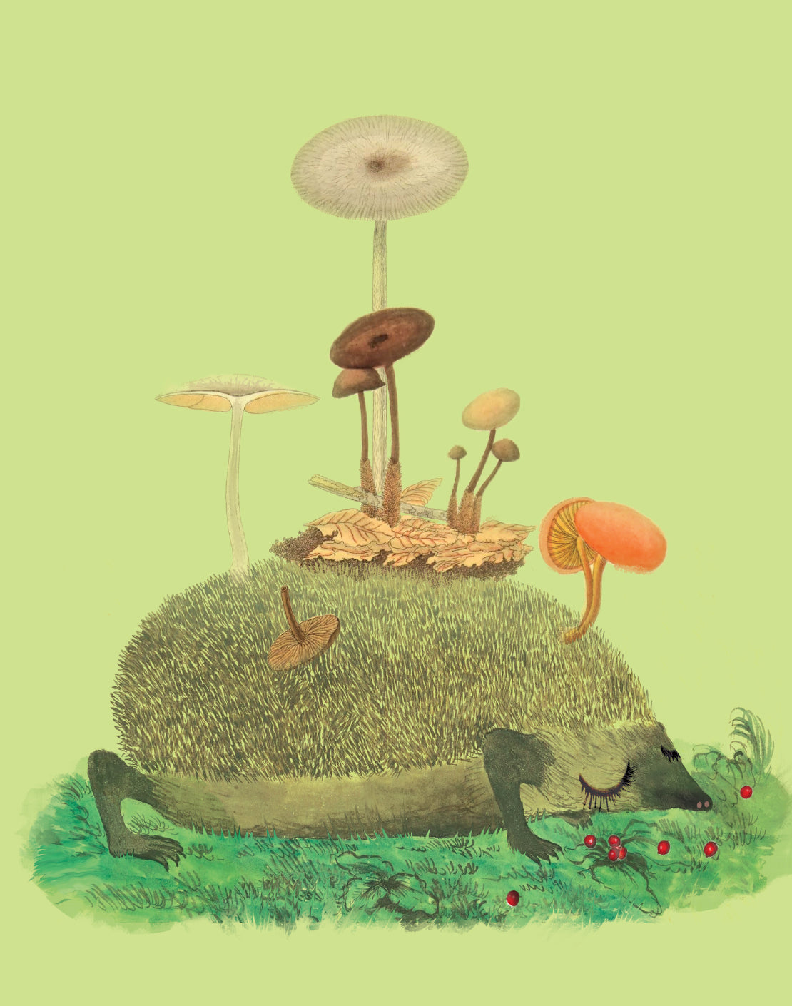 Mushroom Hedgehog