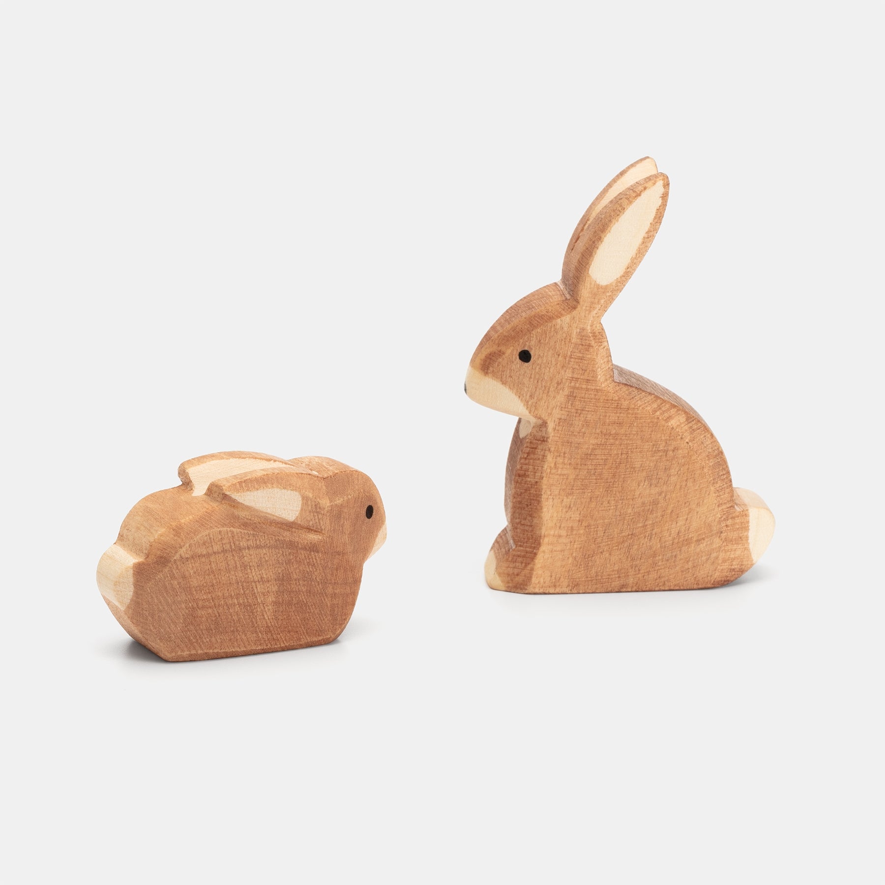 Ostheimer Rabbit sitting and small rabbit