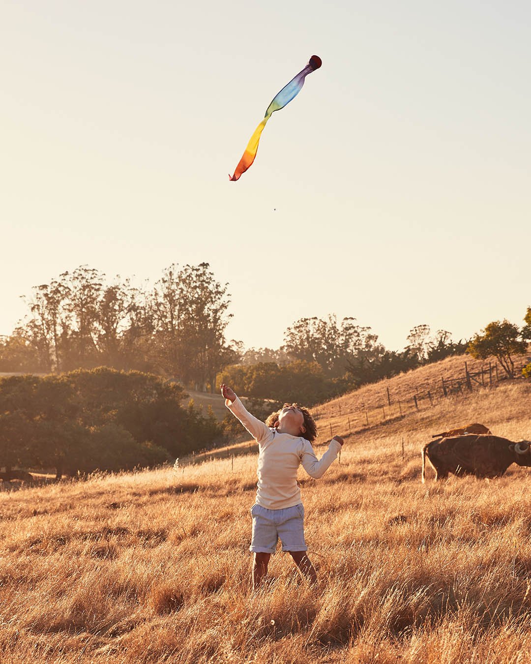 Child standing in a field with cows throwing a Rainbow Sky Tail up in the air