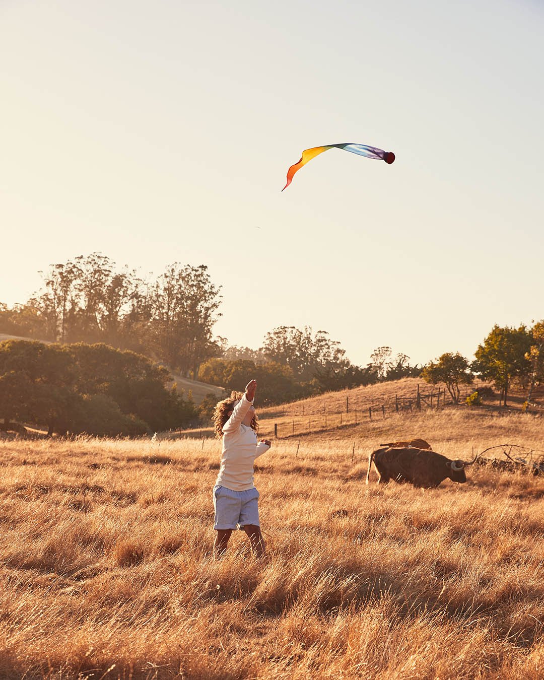 Child standing in a field with cows throwing Rainbow Sky Tail in the air