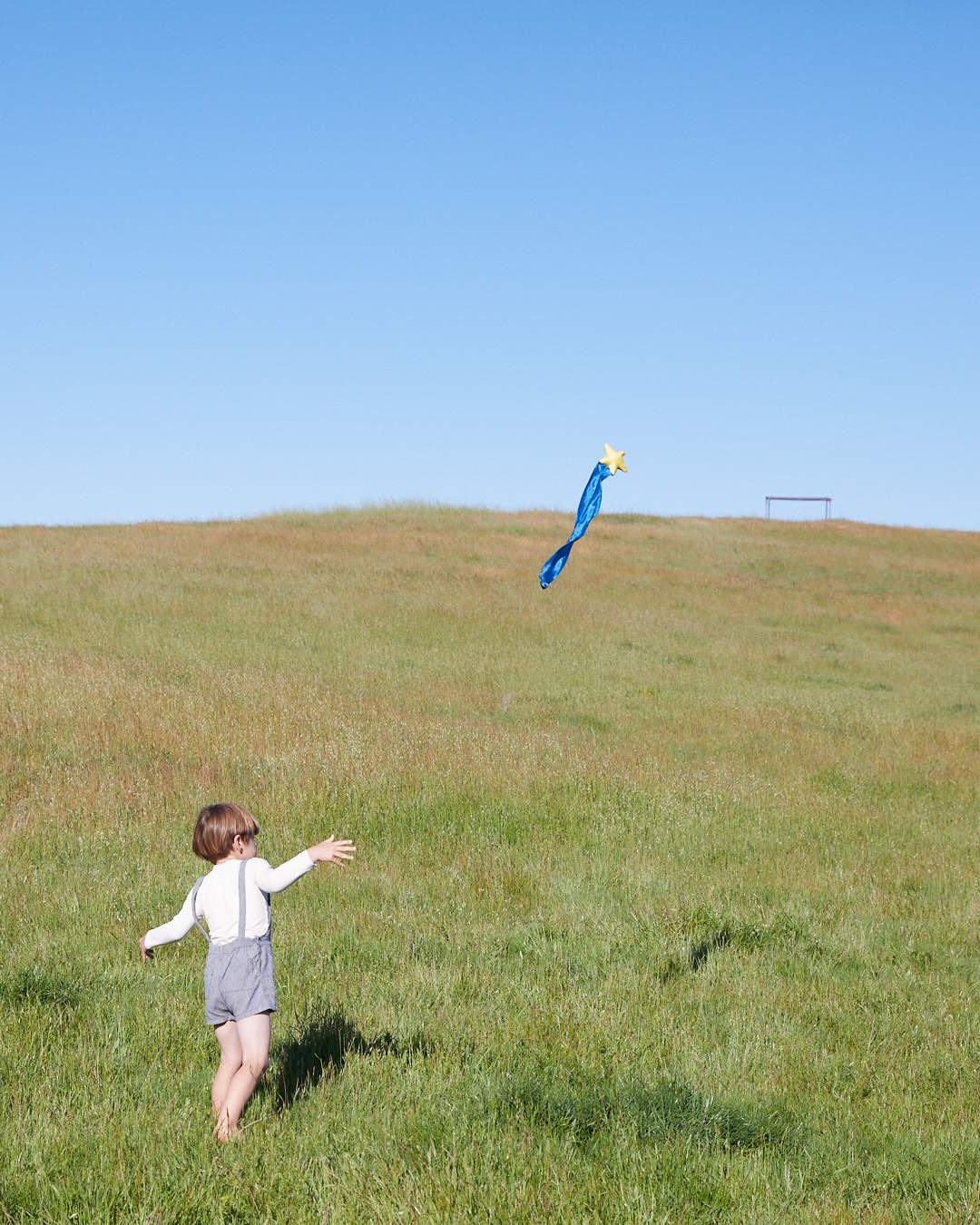 Child standing in field throwing Starry Night Sky Tail in the air