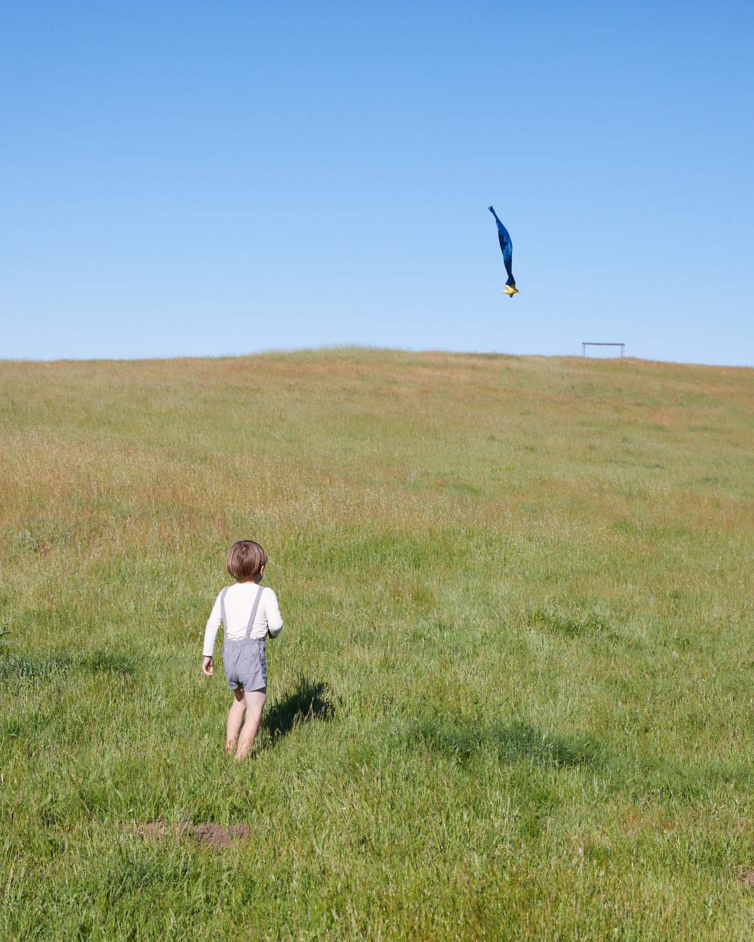 Child standing in field throwing Starry Night Sky Tail in the air