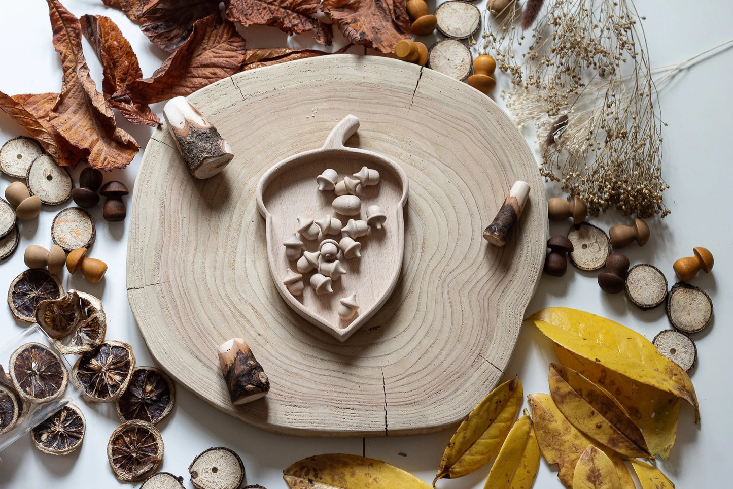 Acorn Sorting Tray with wooden acorns