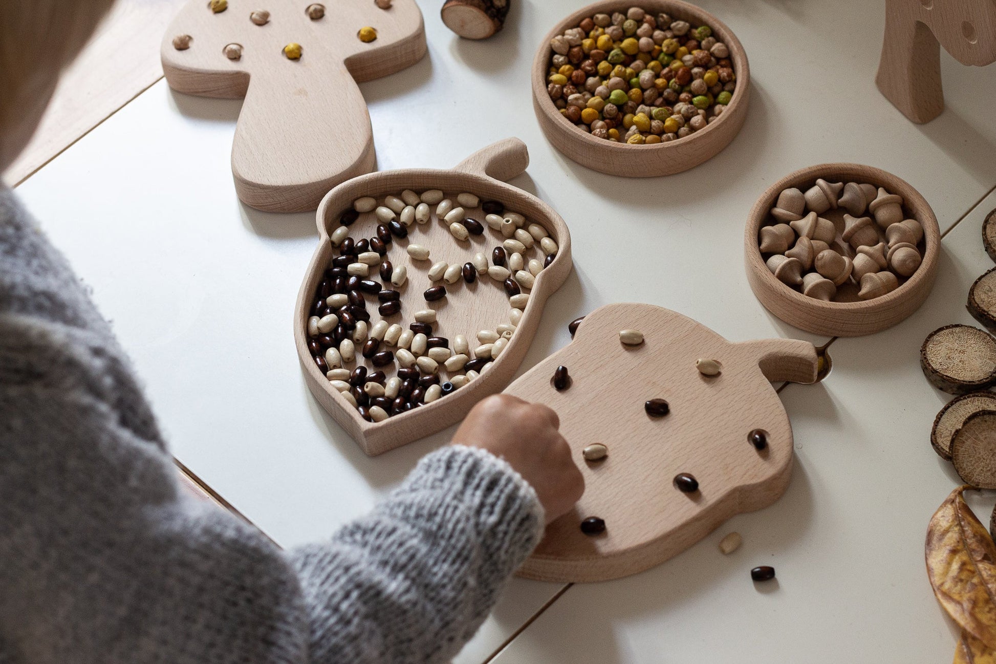 Acorn Sorting Tray with beans and lentils
