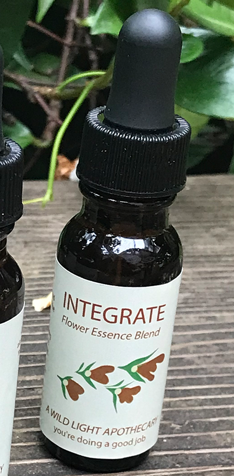 Integrate Flower Essence