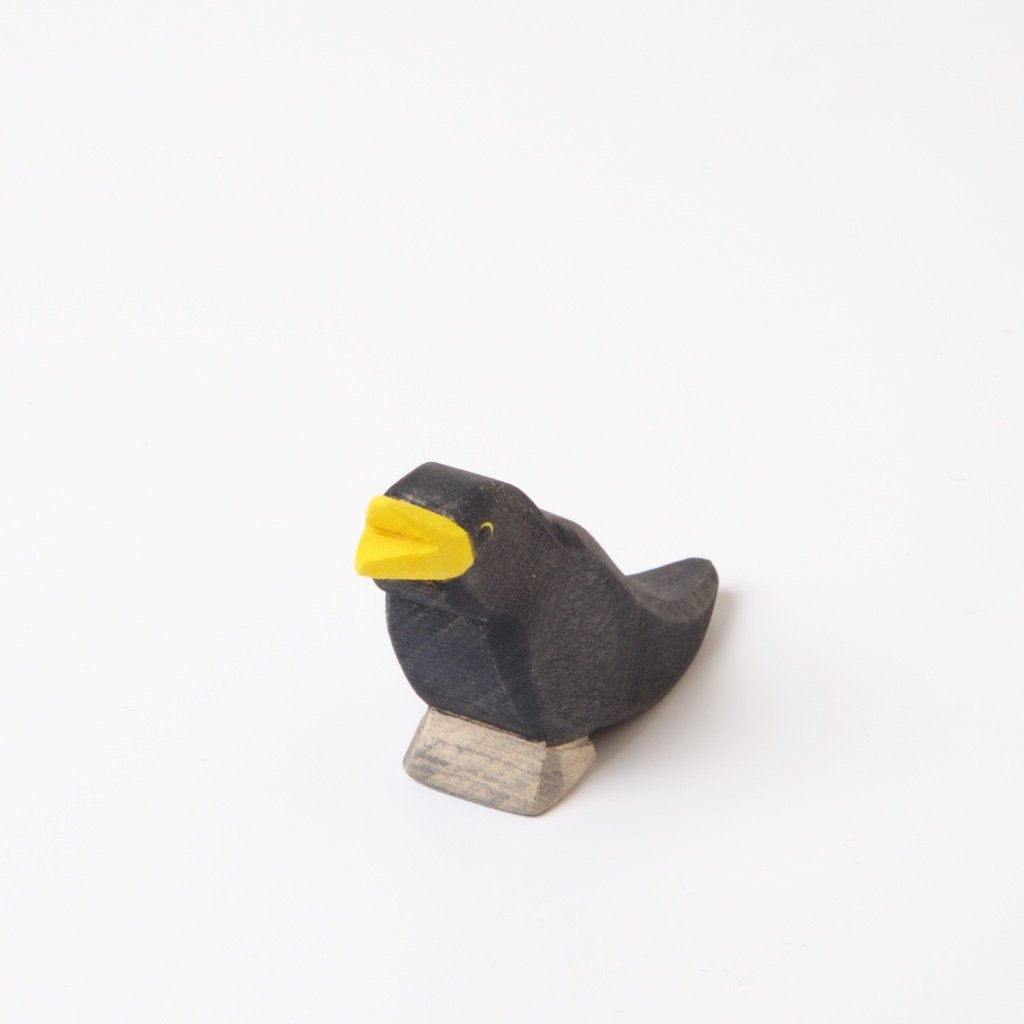 Blackbird by Ostheimer