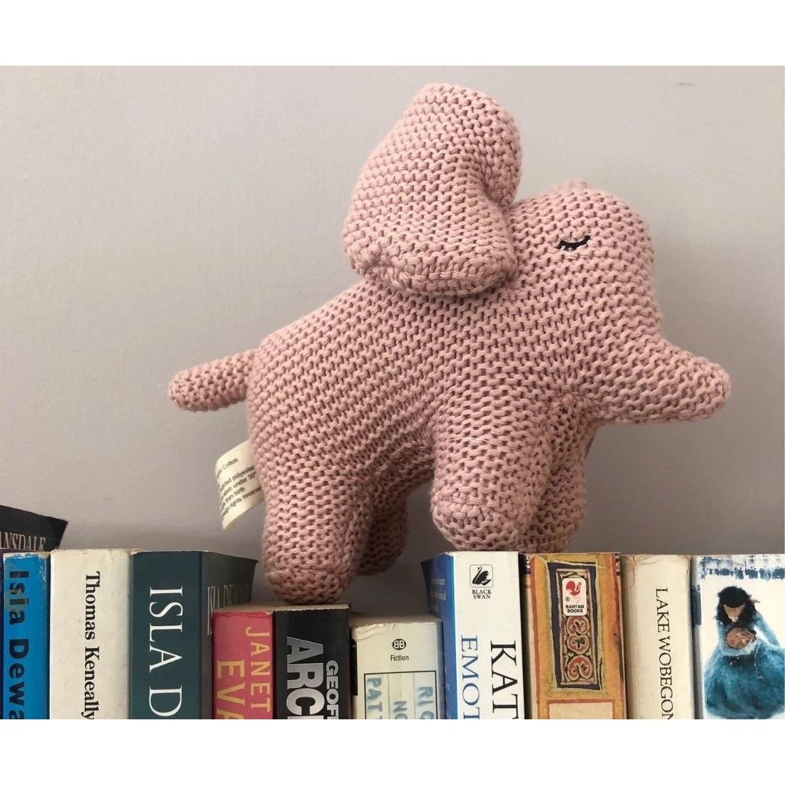 Small Pink Elephant on Books