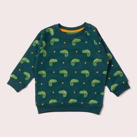 Little Lizard Raglan Sweatshirt
