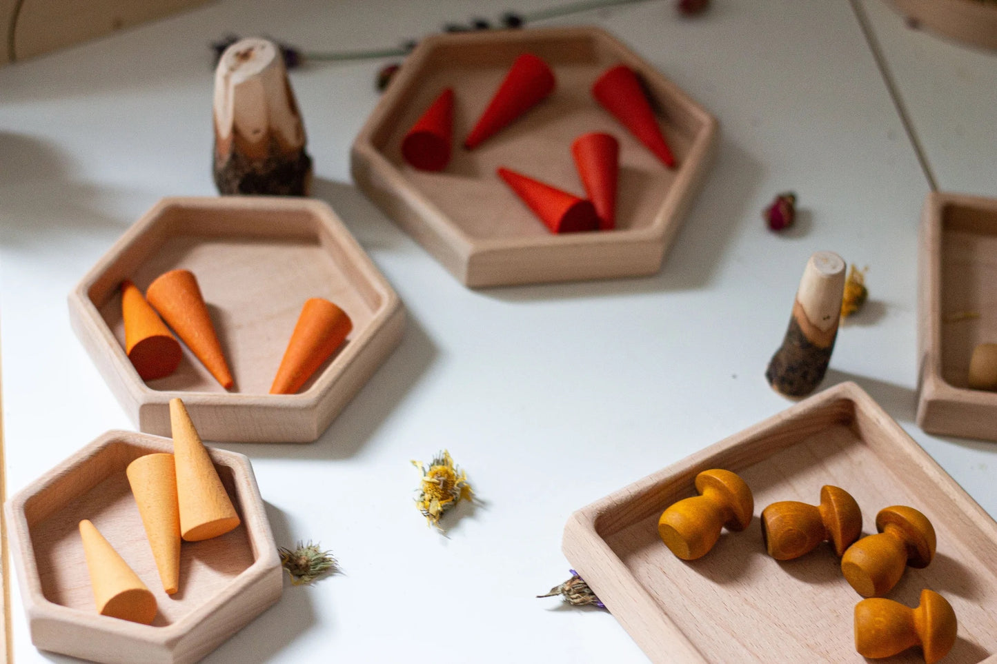 Hexagon Sorting Trays with cones and mushroom mandalas by Grapat