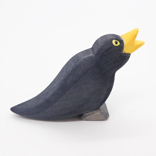 Blackbird by Ostheimer