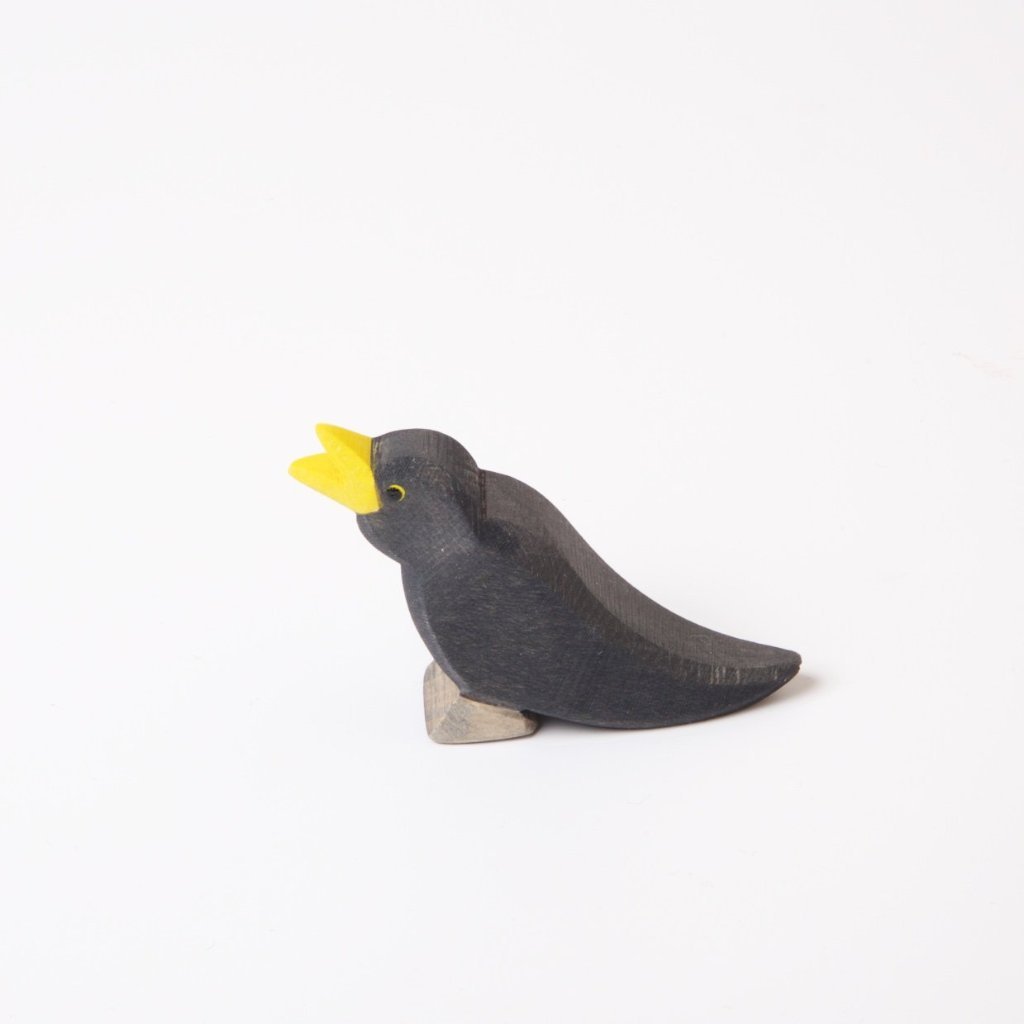 Blackbird by Ostheimer side