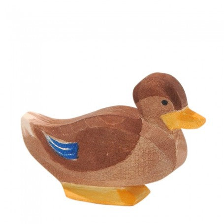 Duck sitting by Ostheimer