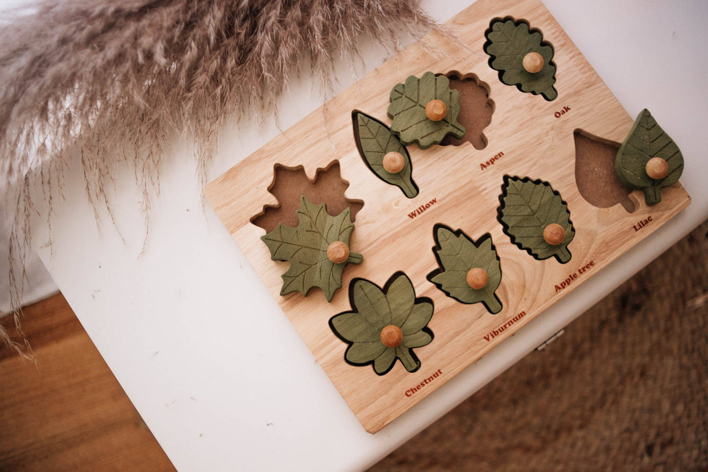 Montessori leaf puzzle on a table