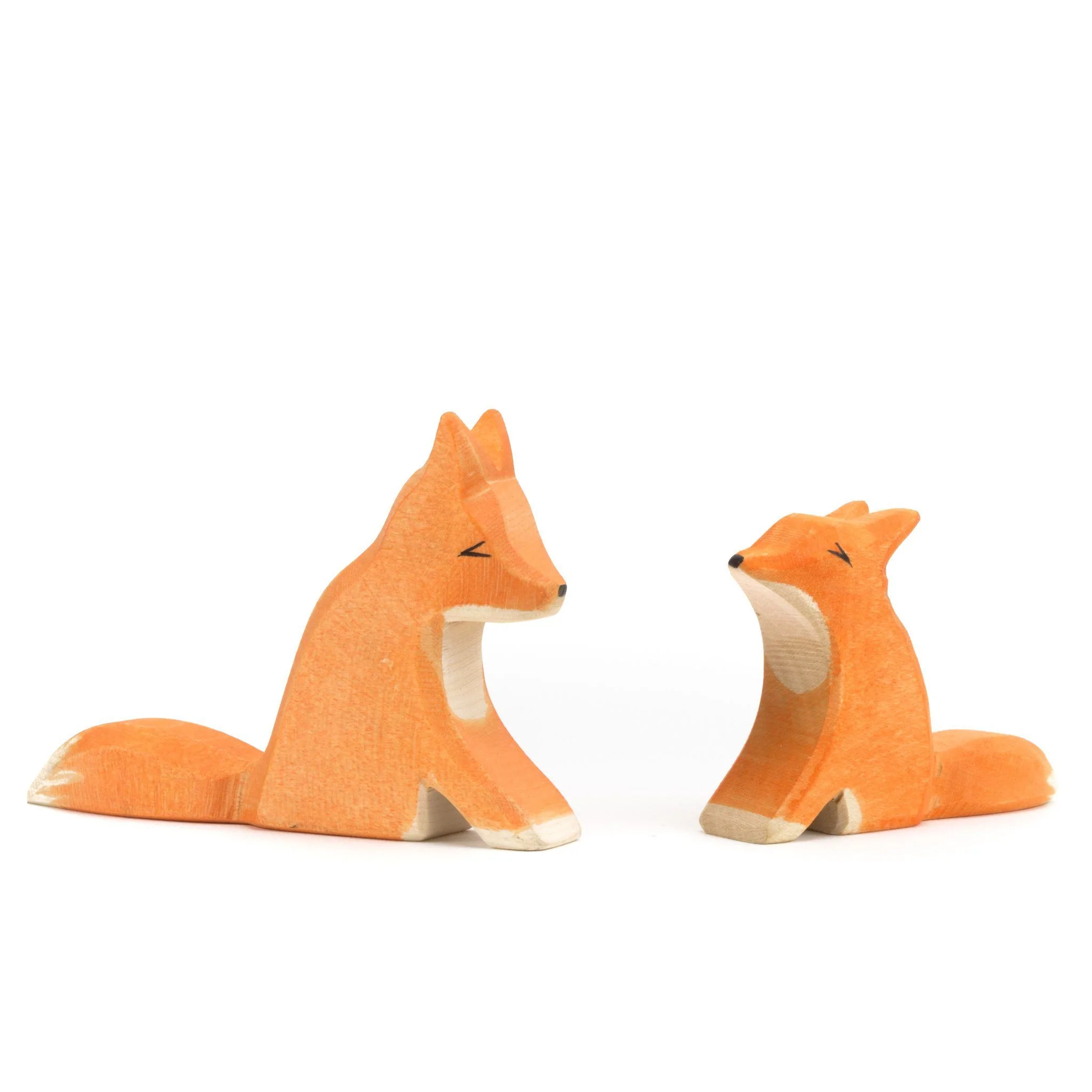 Ostheimer foxes sitting